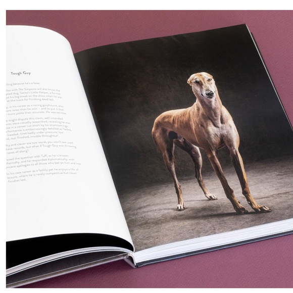 Perfect for all dog lovers! NEW! - Picture 3 of 8